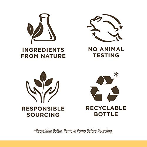 Tear Free Natural  Bees Baby Shampoo