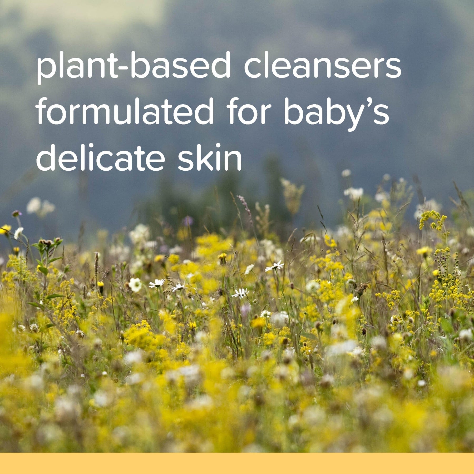 Tear Free Natural  Bees Baby Shampoo